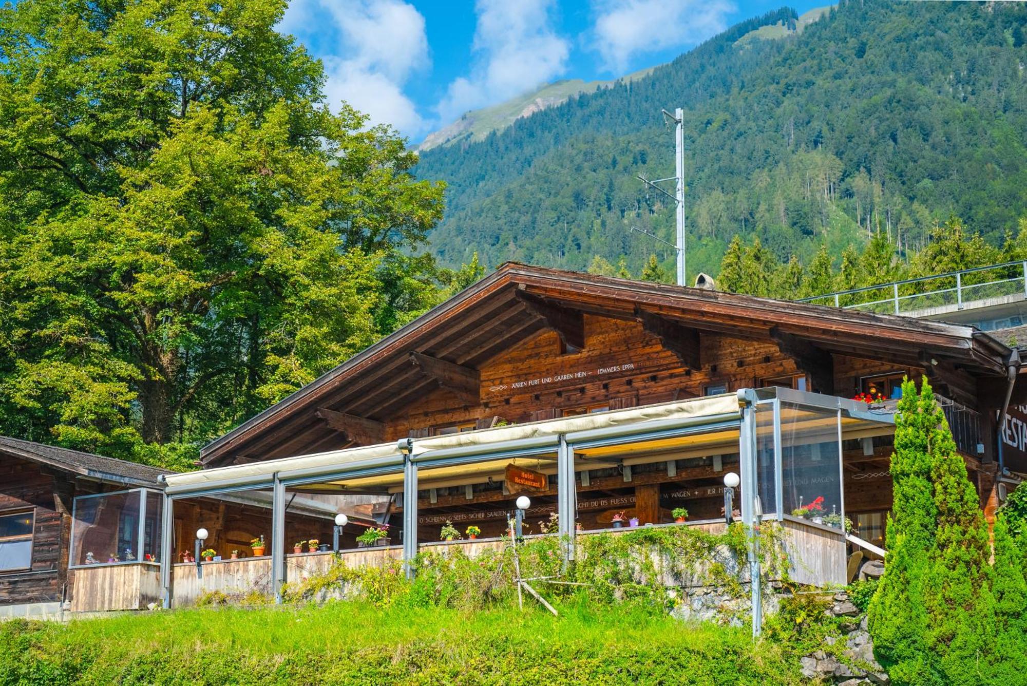 Hotel Wildbach Brienz Brienz  Extérieur photo